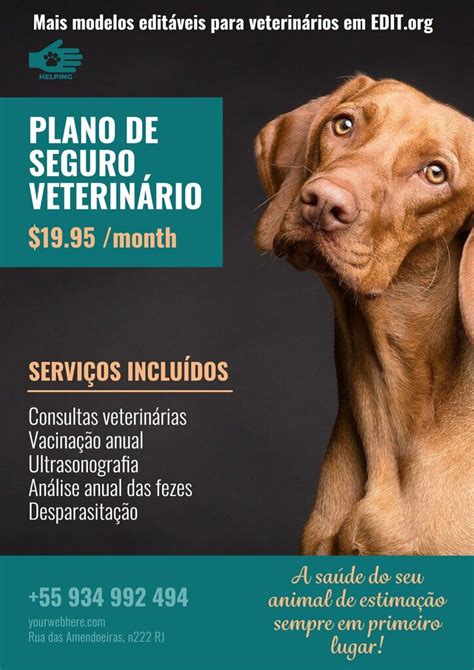 Templates para divulgar clínicas veterinárias editáveis online