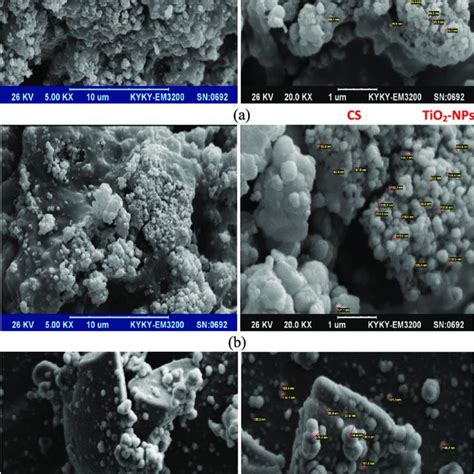 Thermogravimetric Analysis Tga Of Tio2 Chitosan Nanocomposite Download Scientific Diagram