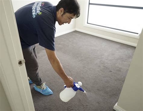 End Of Lease Pest Control In Melbourne Fantastic Cleaners