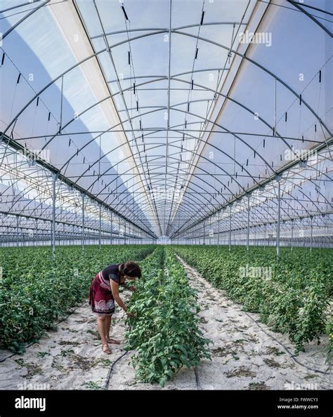 Almeria Spain Greenhouse Hi Res Stock Photography And Images Alamy