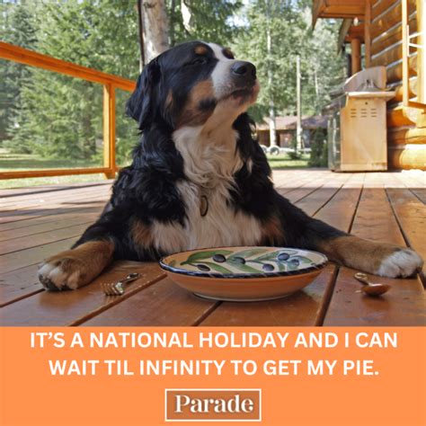 Happy Pi Day Memes For Parade