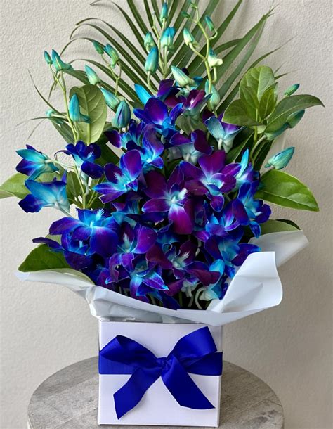 Blue Orchid Box