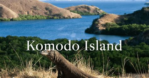 5 Facts About Komodo Island You Might Don't Know