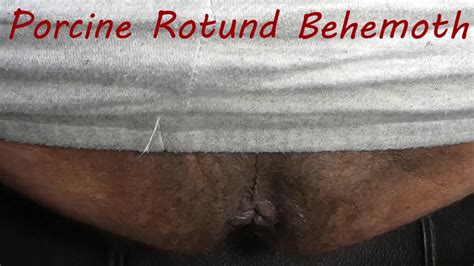 Dirty Smegma Ass ThisVid