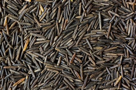 Real Food Encyclopedia Grains And Seeds Foodprint