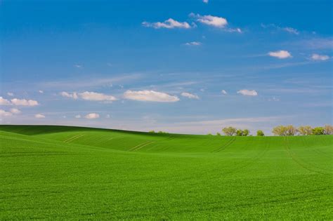 Blue Sky Green Grass High Resolution