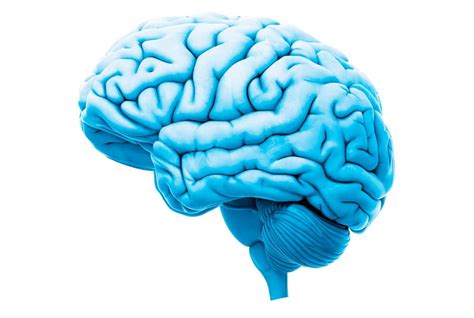 Auditory Memory: Importance, Test, Overcoming Deficits - Edublox Online ...