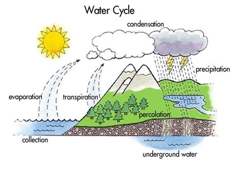 Easy Water Cycle Diagram Labeled In Hindi Cycle Water Drawin