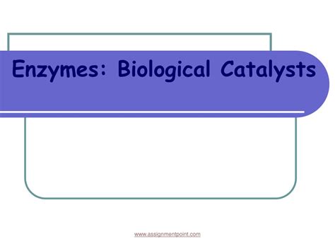 Ppt Enzymes Biological Catalysts Powerpoint Presentation Free Download Id9555547