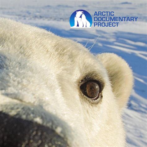 Arctic Documentary Project by Daniel J. Cox - Issuu