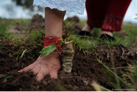 Cultivar La Agenda 2030 Desde El Huerto Escolar Unicef