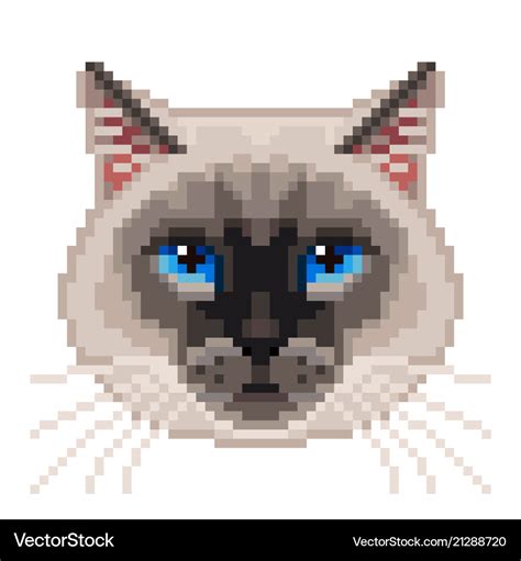 Pixel siamese cat face isolated Royalty Free Vector Image