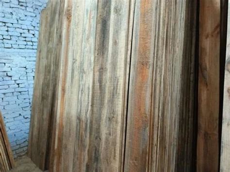 Brown Uruguay Pine Wood At 550 Cubic Feet In Sri Ganganagar ID