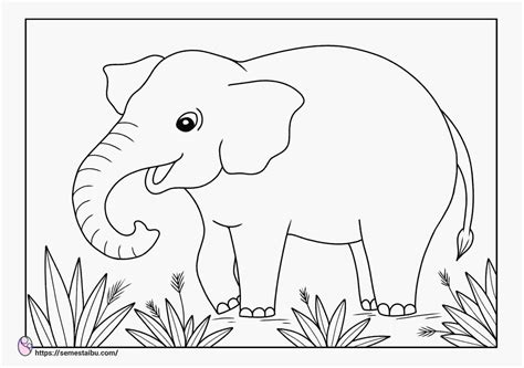 gambar mewarnai hewan gajah