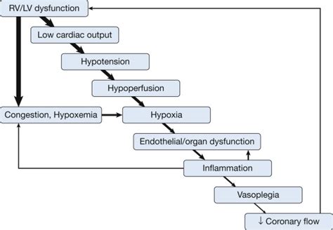 Reconsidering Vasopressors For Cardiogenic Shock Chest