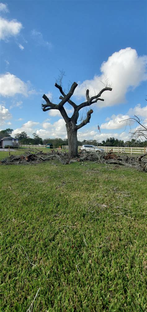 Aster Knight Parks Foundation | Southwest Ranches FL