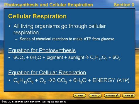 How To Remember Photosynthesis And Cellular Respiration Equation ...