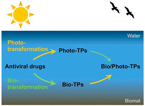 Co Occurrence Of Photochemical And Microbiological Transformation