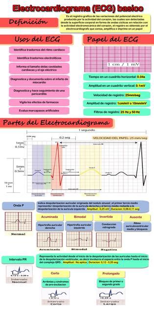 Electrocardiograma ECG básico Diego Oliver Bilbao uDocz