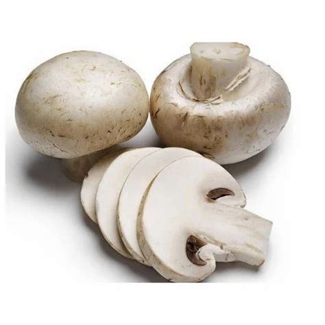 Fresh Button Mushrooms At Rs 300kilogram Button Mushrooms In