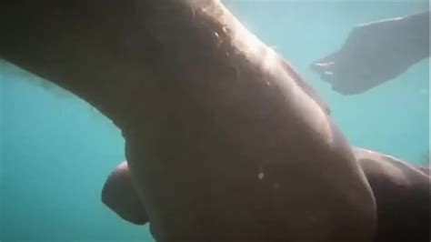 Vidéos gay fellation XVIDEOS