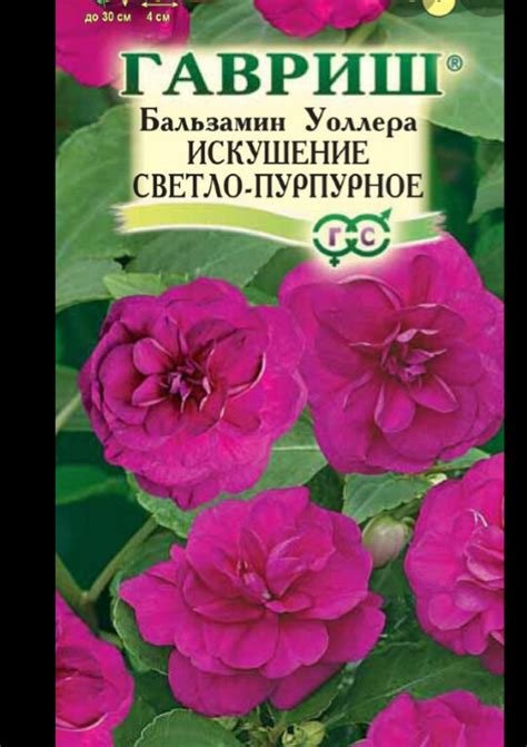 Гавриш Бальзамин Уоллера | отзывы