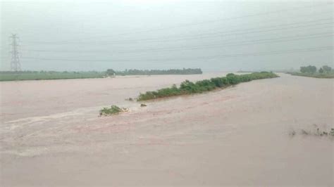 Holiday For Schools In Pathankot And Gurdaspur Due To Floods Amar Ujala Hindi News Live