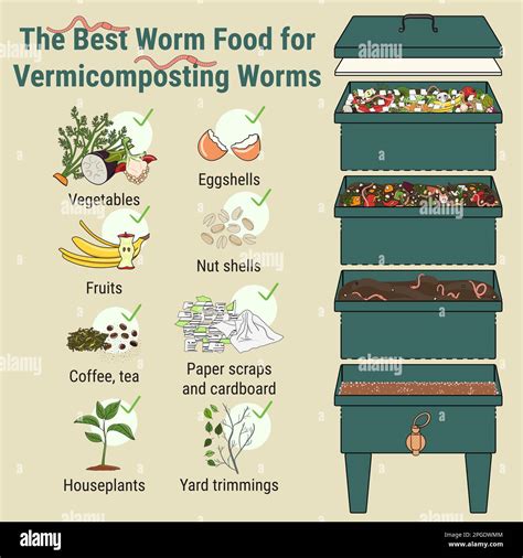 Composting Food Waste With Worms At Declan Thwaites Blog