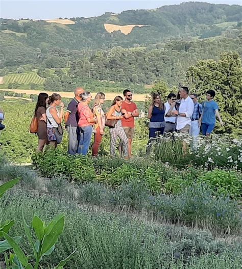 Fiori Miele E Musica Nel Maggio Del Giardino Delle Erbe Di Casola Valsenio