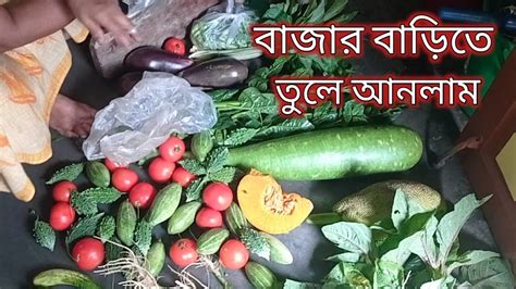 আজ পুরো বাজার বাড়িতে তুলে আনলাম 🍆🥔🥕🥦🥬🌶️🫚🌰🫚lifebondingextra Youtube