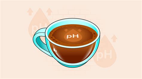Best Low Acid Coffees: Tasty Options for Sensitive Stomachs – CAFELY