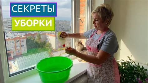 МОЕМ ОКНА И ПОЛЫ СЕКРЕТНЫМ СПОСОБОМ, ЧТОБЫ ОНИ ДОЛЬШЕ ОСТАЛИСЬ ЧИСТЫМИ ...