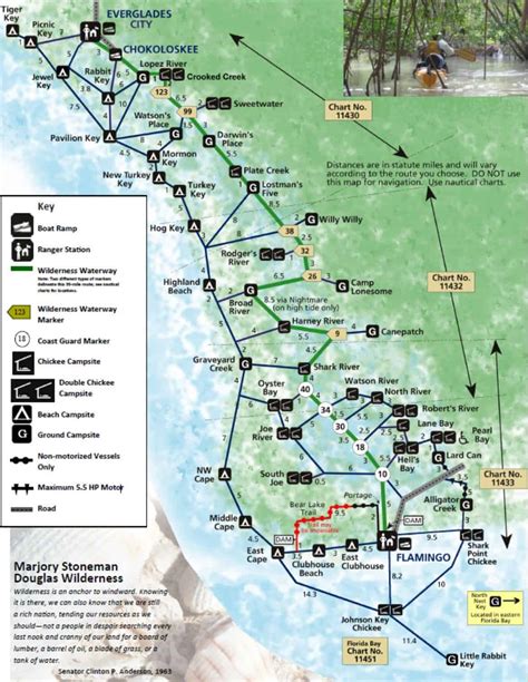 Everglades National Park Camping in 2023 (+Maps & Tips) - TMBtent