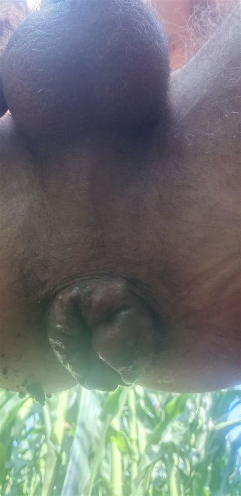 Loose Ass Nude Pics XHamster