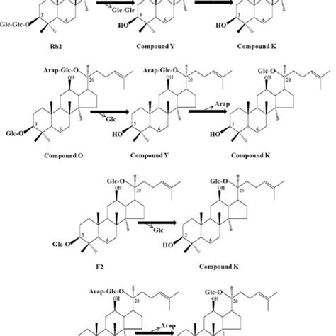 Hplc Analysis Of The Time Course Of The Transformation Of Ginsenoside Download Scientific