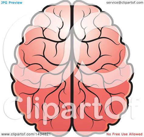 Clipart Of A Human Brain Royalty Free Vector Illustration By Lal