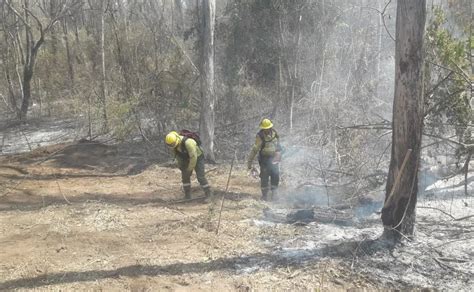 Incendios Forestales Las Yungas Continúan Siendo La Zona Roja De Jujuy