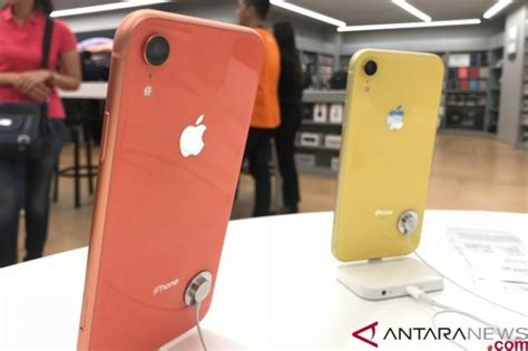 Rumor Warna Iphone Beredar Lewat Gambar Pecahan Kaca Antara News