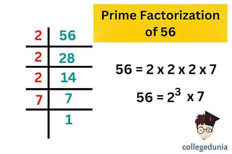 Factors Of 56 Prime Factorization Pair Factors And Prime Factors