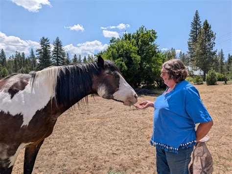 Horses Unlimited closes its gates | The Plumas Sun
