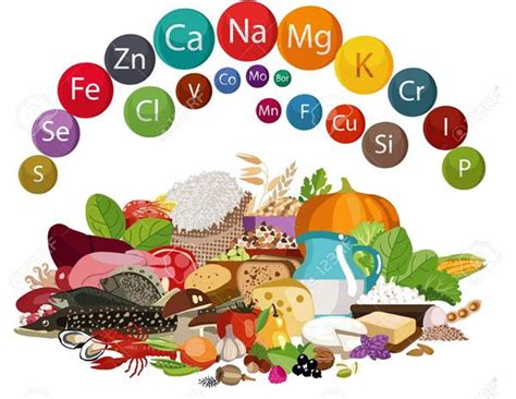 Conheça nutrientes essenciais e entenda como seu corpo precisa deles ...