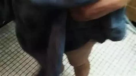 Free Boob Squeeze Indian Porn Videos Xhamster