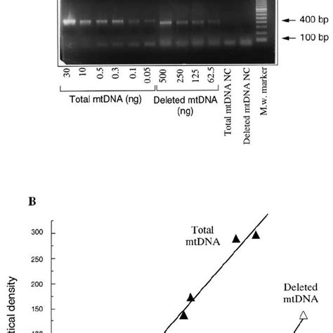 Relationships Between Age Of Subjects And Mtdna Deletion Frequency