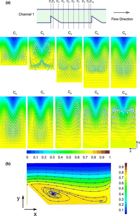 Simulated Flow Fields And Ink Concentration Distributions A At