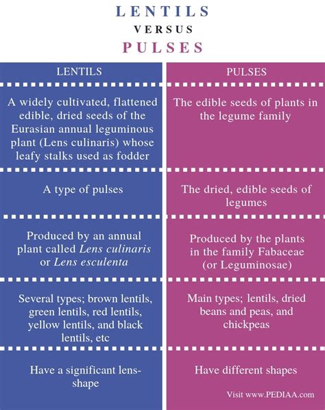 difference  lentils  pulses pediaacom