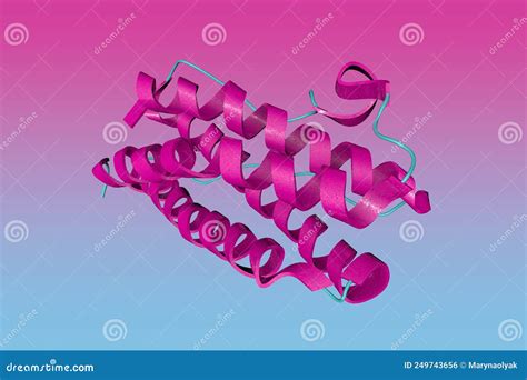 Crystal Structure Of The Human Leukemia Inhibitory Factor Lif