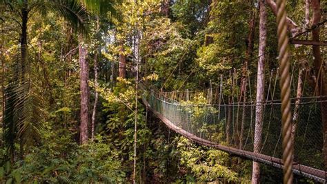 Gunung Mulu National Park Borneo Island Malaysia Visitor Guide