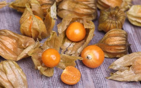 Физалис: польза и вред, полезные свойства и противопоказания