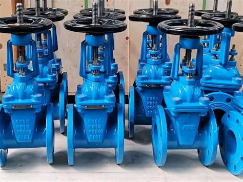china resilient seated gate valver bs resilient seated gate valve