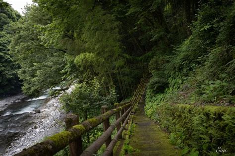 On A Muggy And Gloomy Day In Tokyo Okutama Tokyo Japan Travel